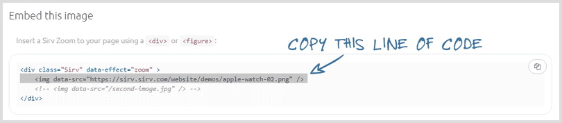 Copy zoom image code