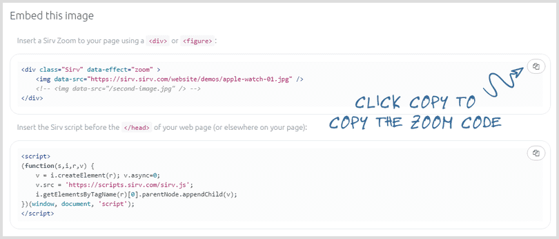 Copy the zoom code