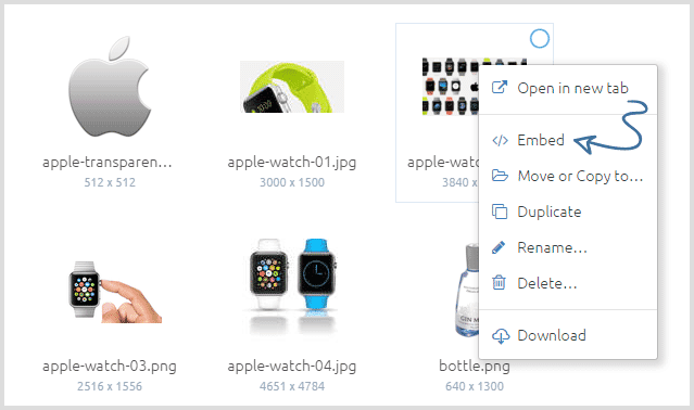 Paste the zoom code on eBay