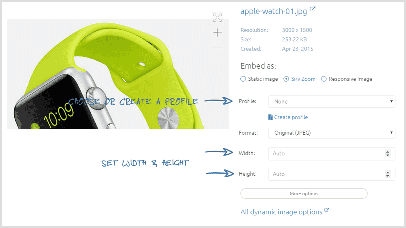 Zoom and pan options