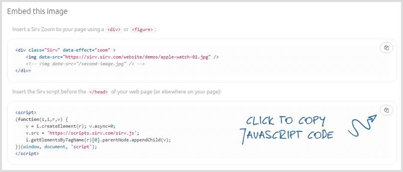 Copy zoom JavaScript code