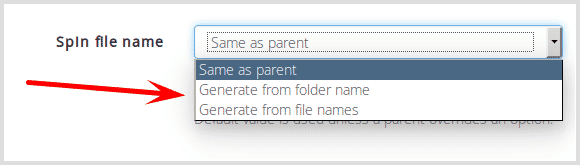 Spin file name options