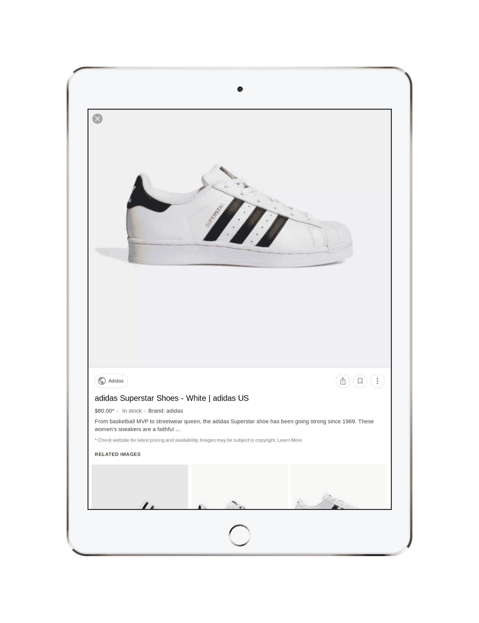 google image search results on an iPad