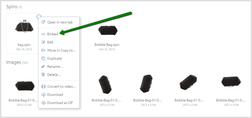 embed 3D spin