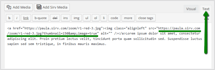 Sirv plain image code in WordPress Sirv plain image code in WordPress