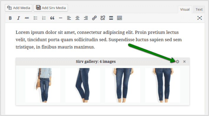 Update Sirv responsive gallery settings Update Sirv responsive gallery settings