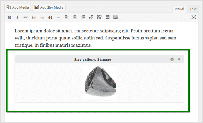Sirv spin appears as a gallery Sirv spin appears as a gallery